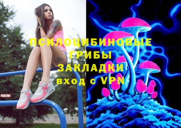 круглые Алексин