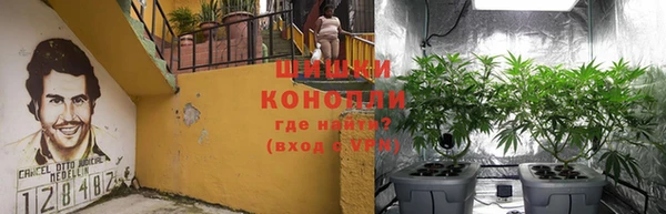 ПСИЛОЦИБИНОВЫЕ ГРИБЫ Алексеевка